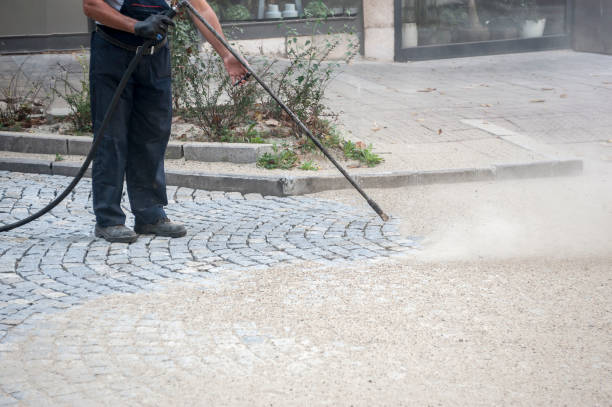 Best Roof Cleaning and Mildew Removal in Northwood, IA
